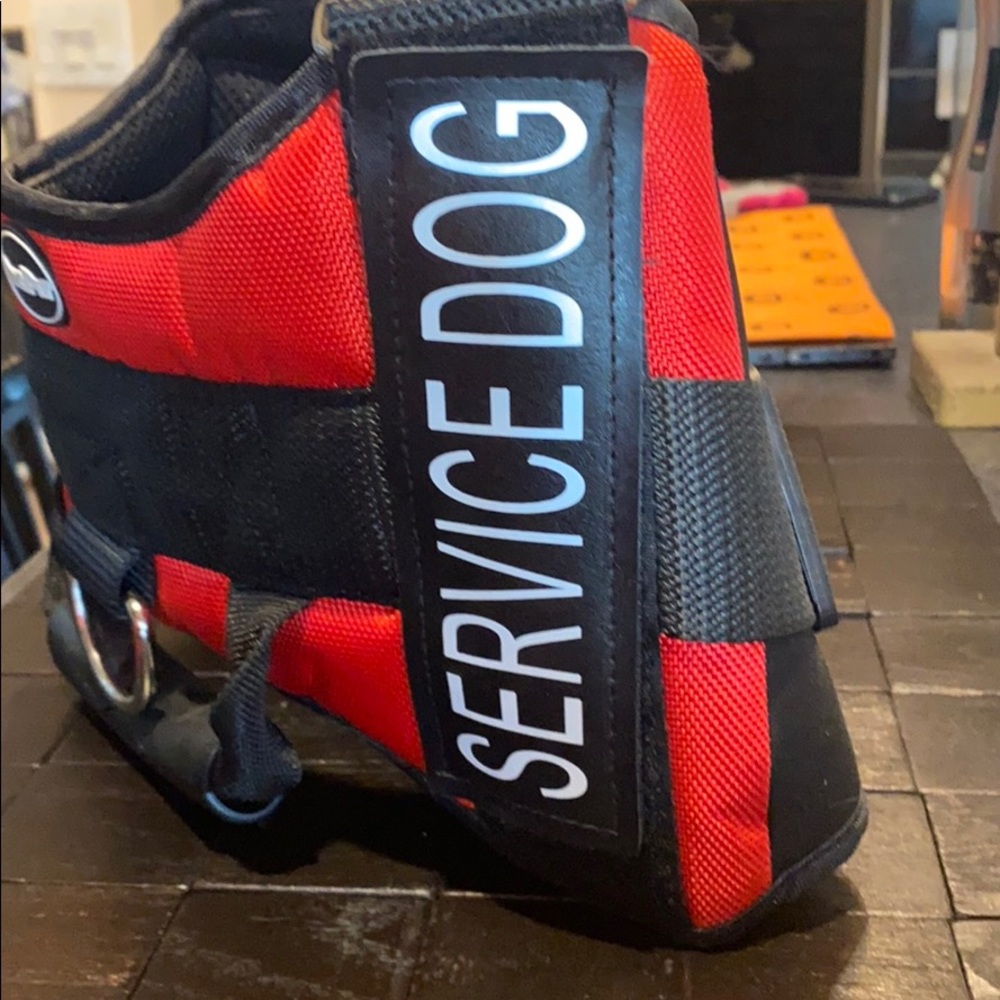 Service dog harness vest